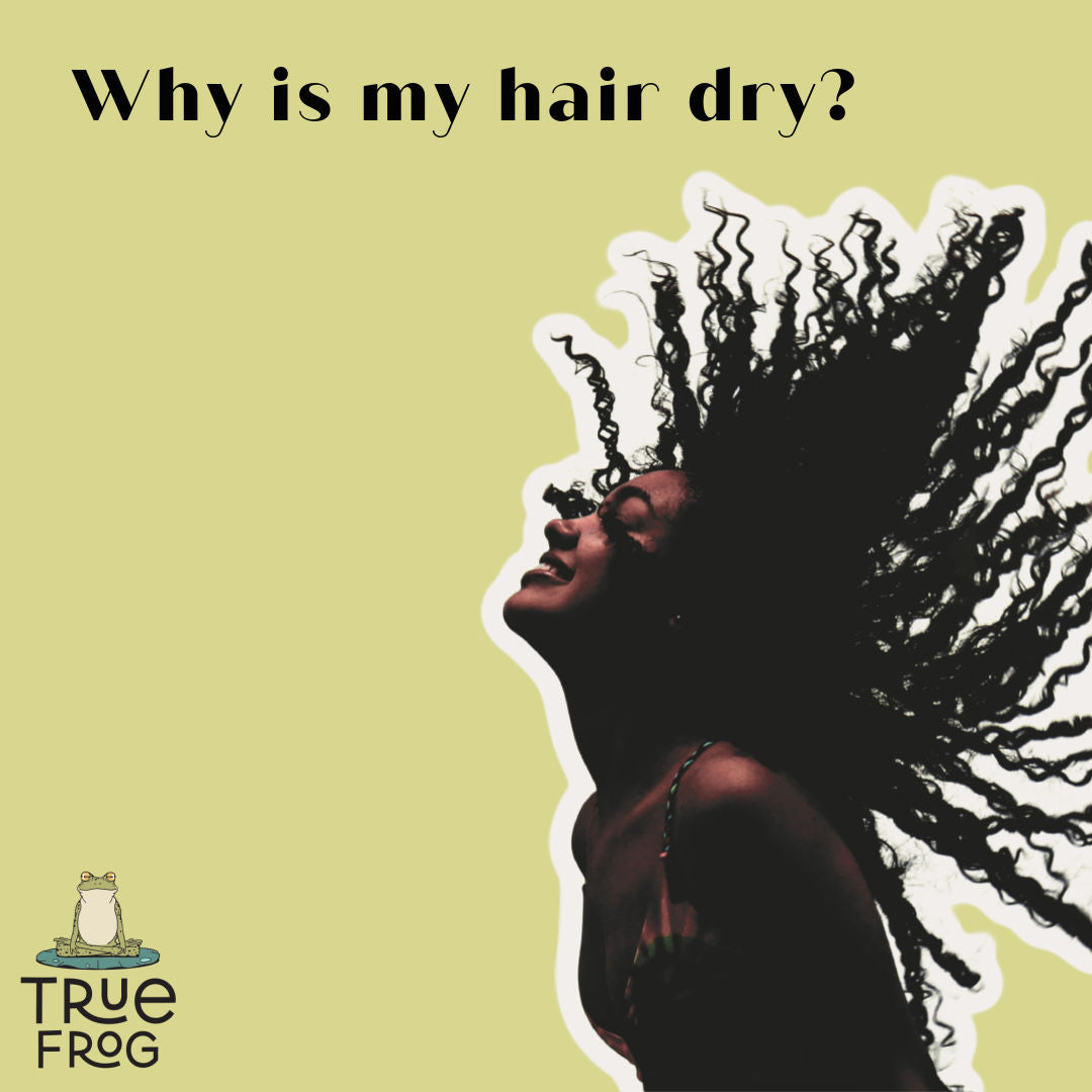 The Dry Hair Conundrum - What Do I Do?